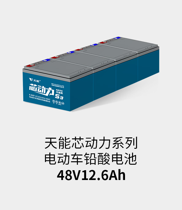 777盛世国际电池48v12ah