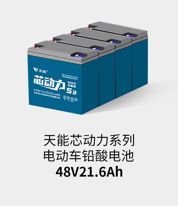 777盛世国际电池48v20ah
