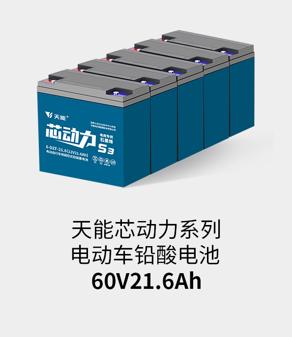 777盛世国际电池60v20ah