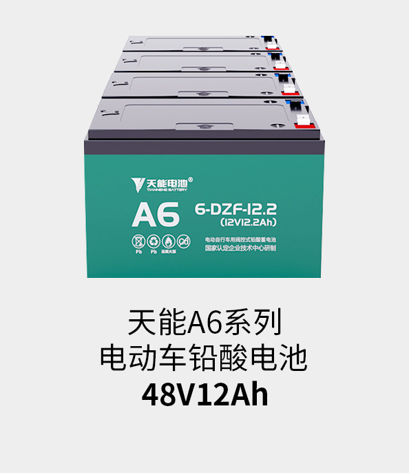 777盛世国际电池48v12ah