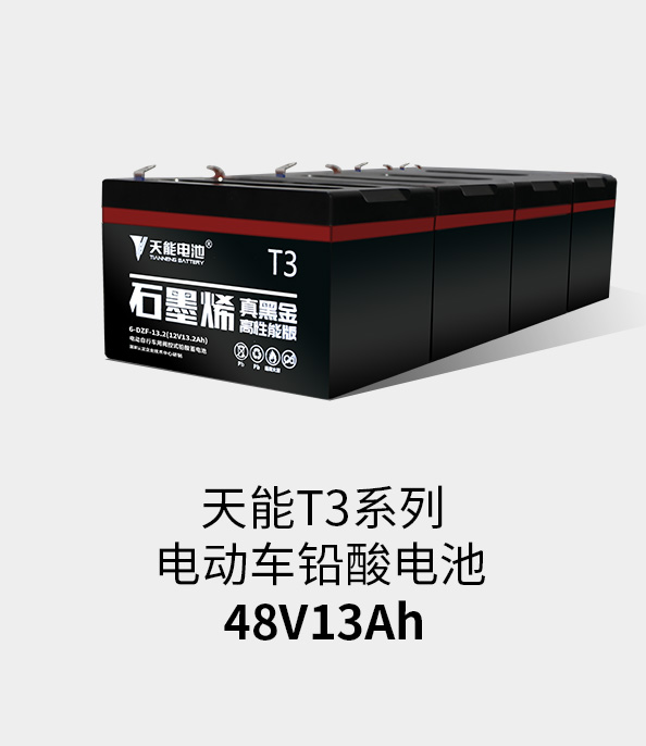 777盛世国际T3系列48v13ah