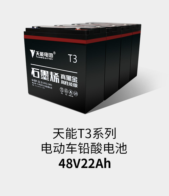777盛世国际T3系列48v22ah