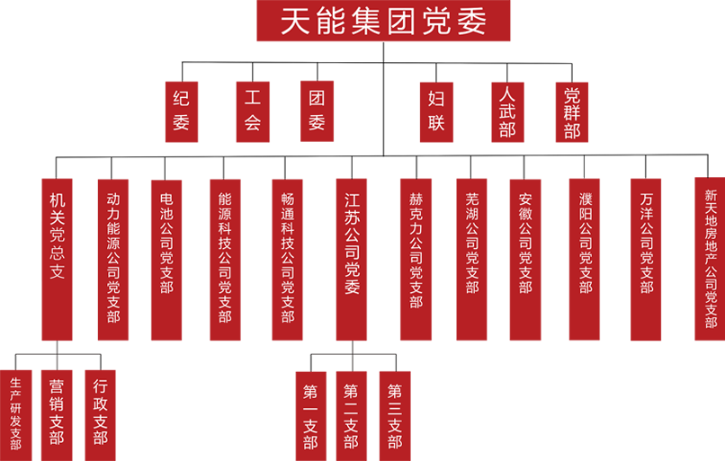 777盛世国际建团党委组织架构